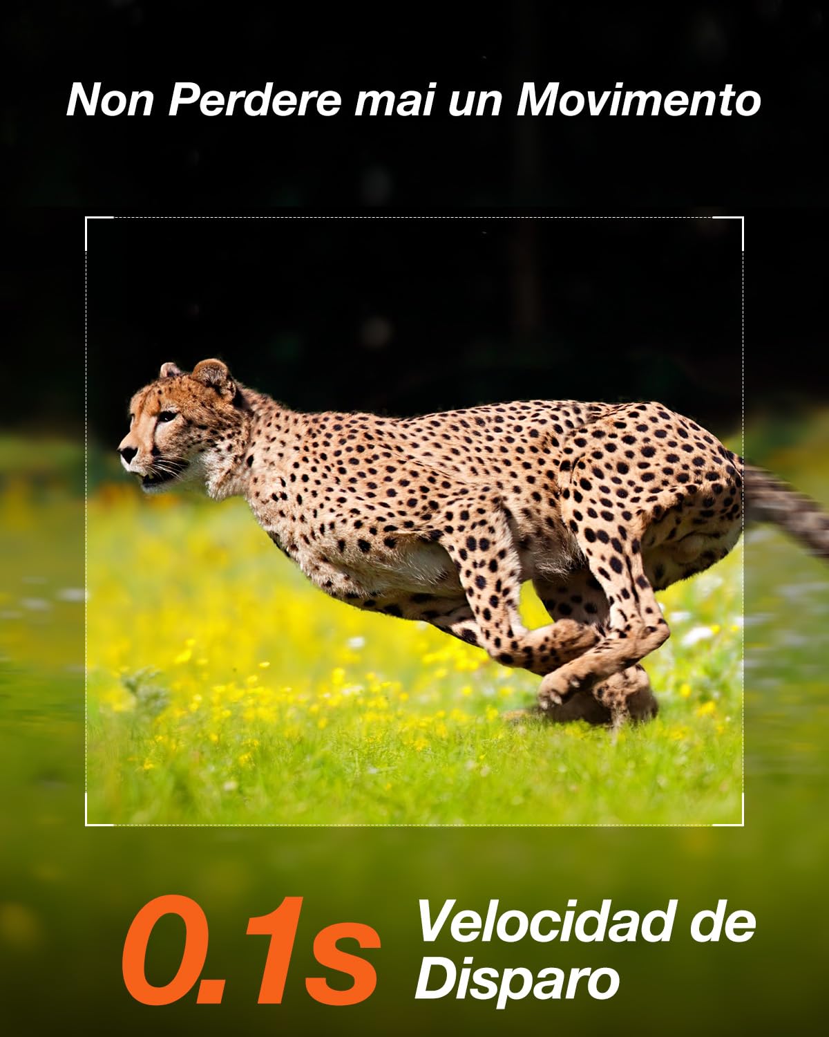 iZEEKER Fototrappola App, 4K UHD 64MP Solare Fotocamera Caccia con Scheda SD 64GB & Batteria Ricaricabile da 5200mAh, WiFi Bluetooth, Visione Notturna, Impermeabile IP66 per Monitoraggio Fauna