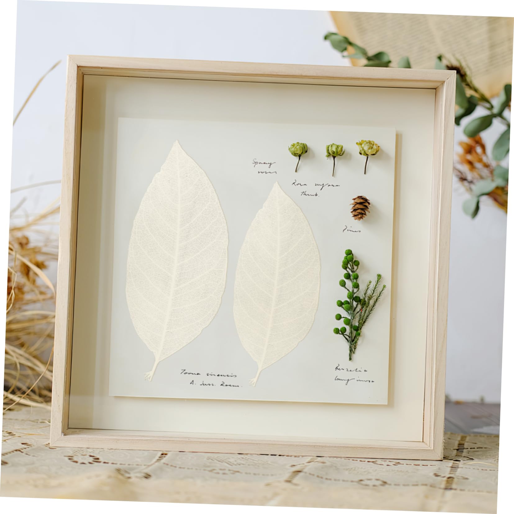 Spécimen de Feuilles Séchées Naturelles 100 Pcs, Blanc | Matériaux de Bricolage Faits Main, Feuilles Blanches Résistantes, pour Création Artistique et Fêtes