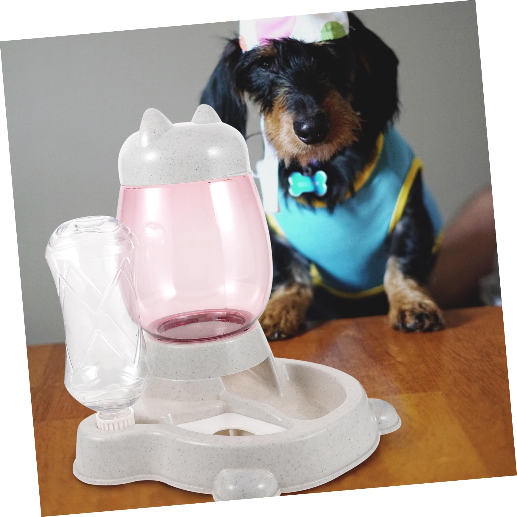 Dispenser Automatico per Alimenti per Animali, Tipo a Secchio | Pp Leggero, Uso Semplice, per Gatto e Pet, Soluzione Indoor Ciotola Integrata