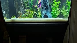 Review Image by Lady Glitter Sparkles