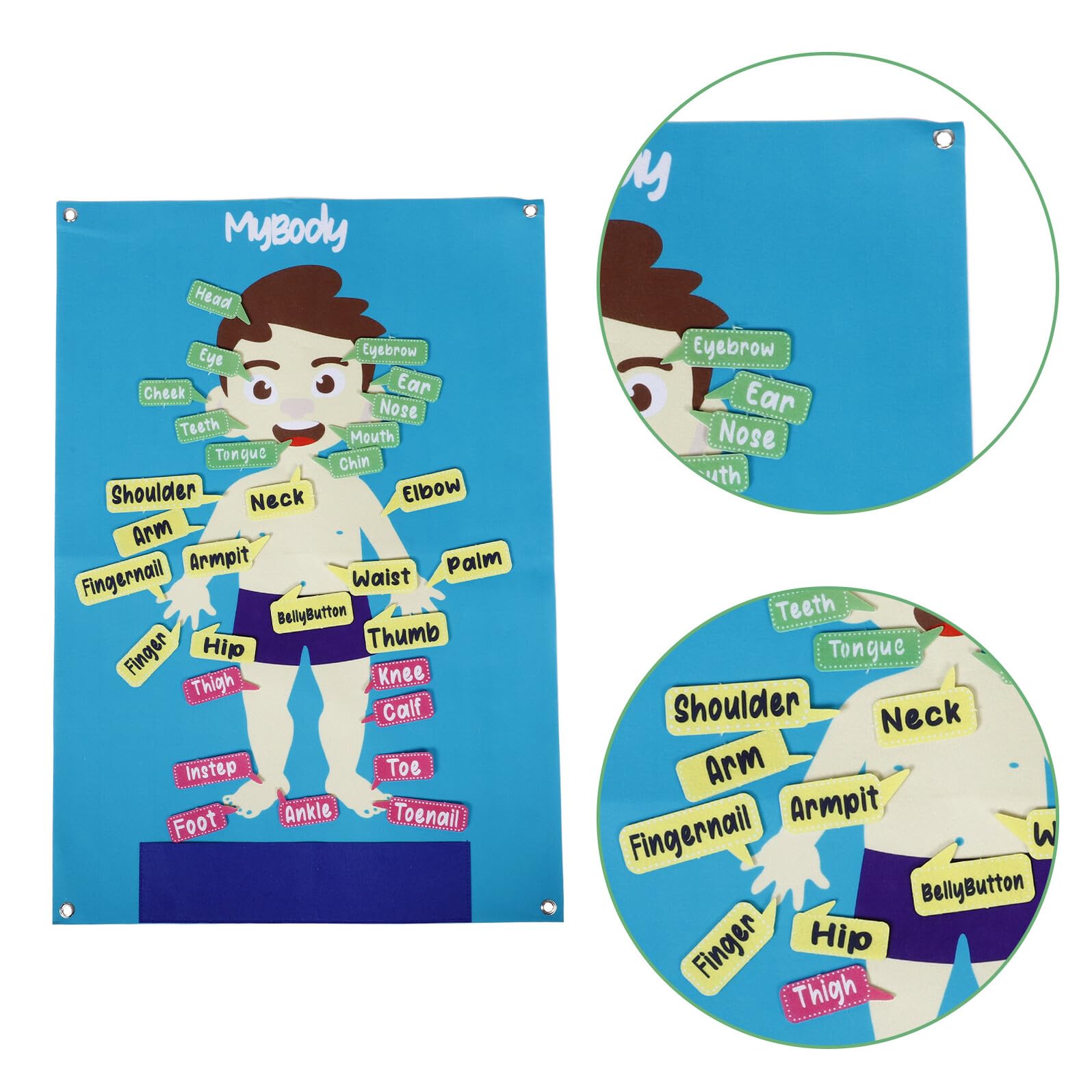 Abaodam Tablero de Fieltro Cuerpo Humano 56x82 Cm para Aprendizaje Preescolar, Herramienta Educativa Interactiva, Póster Didáctico de Actividades y Cuentos Divertidos