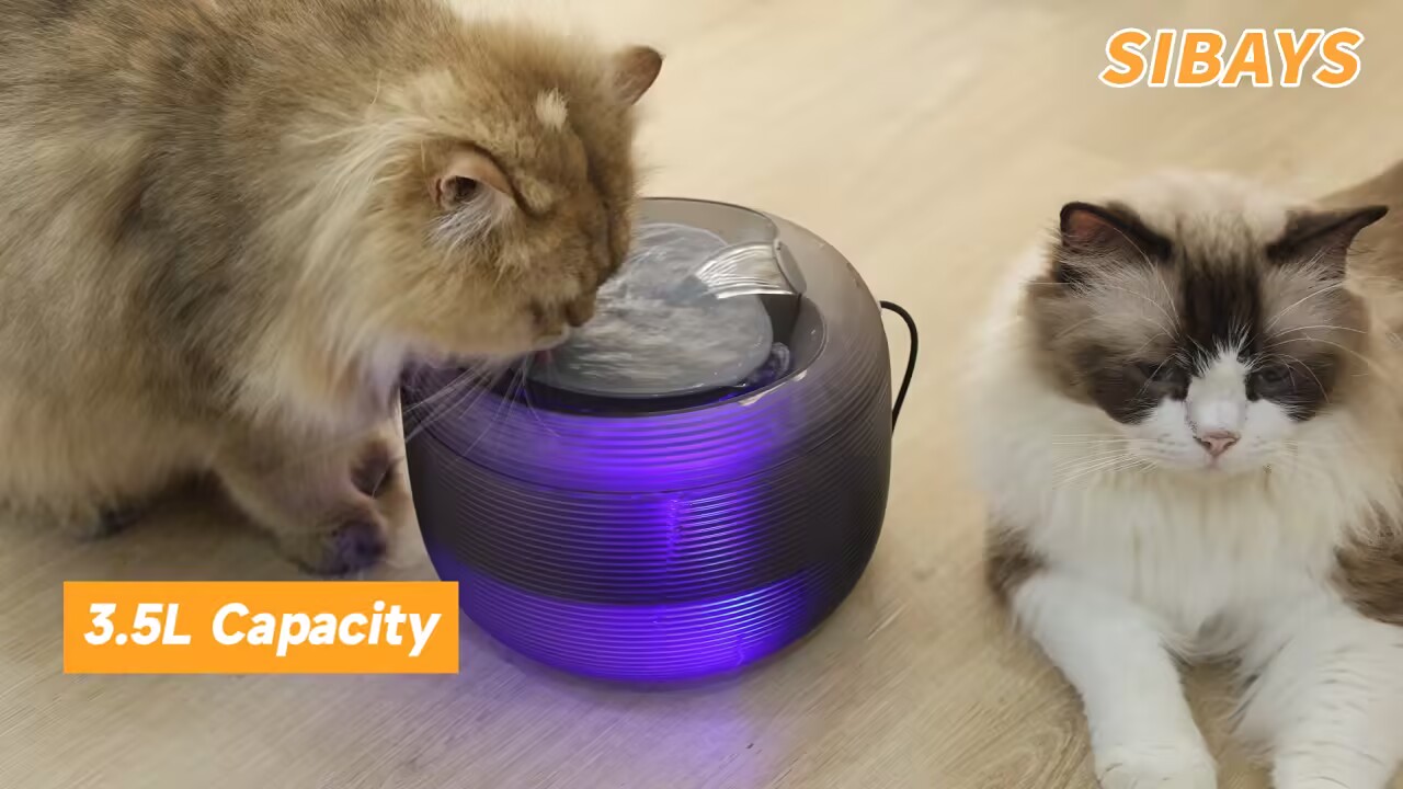 Amazon.com: SIBAYS 3.5L Cat Water Fountain, 118oz Large Capacity