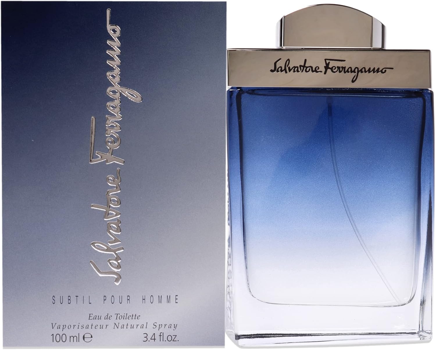 Salvatore Ferragamo Subtil Pour Homme Edt 100Ml: Buy Online at Best ...