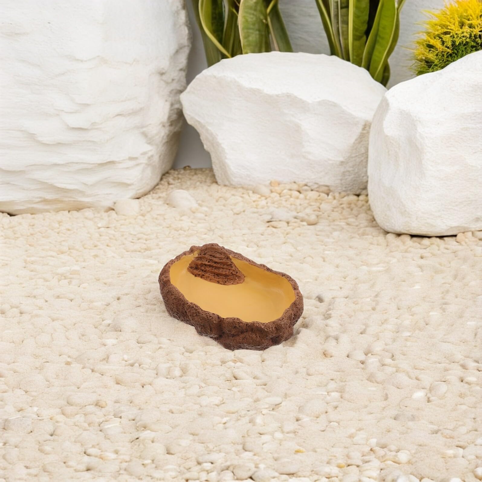 TOYANDONA Cuenco de Resina para Reptiles Diseño Único de Entrada, Fácil de Limpiar, Plato de Agua y Comida para Tortugas y Ranas en Terrarios Estilo Natural