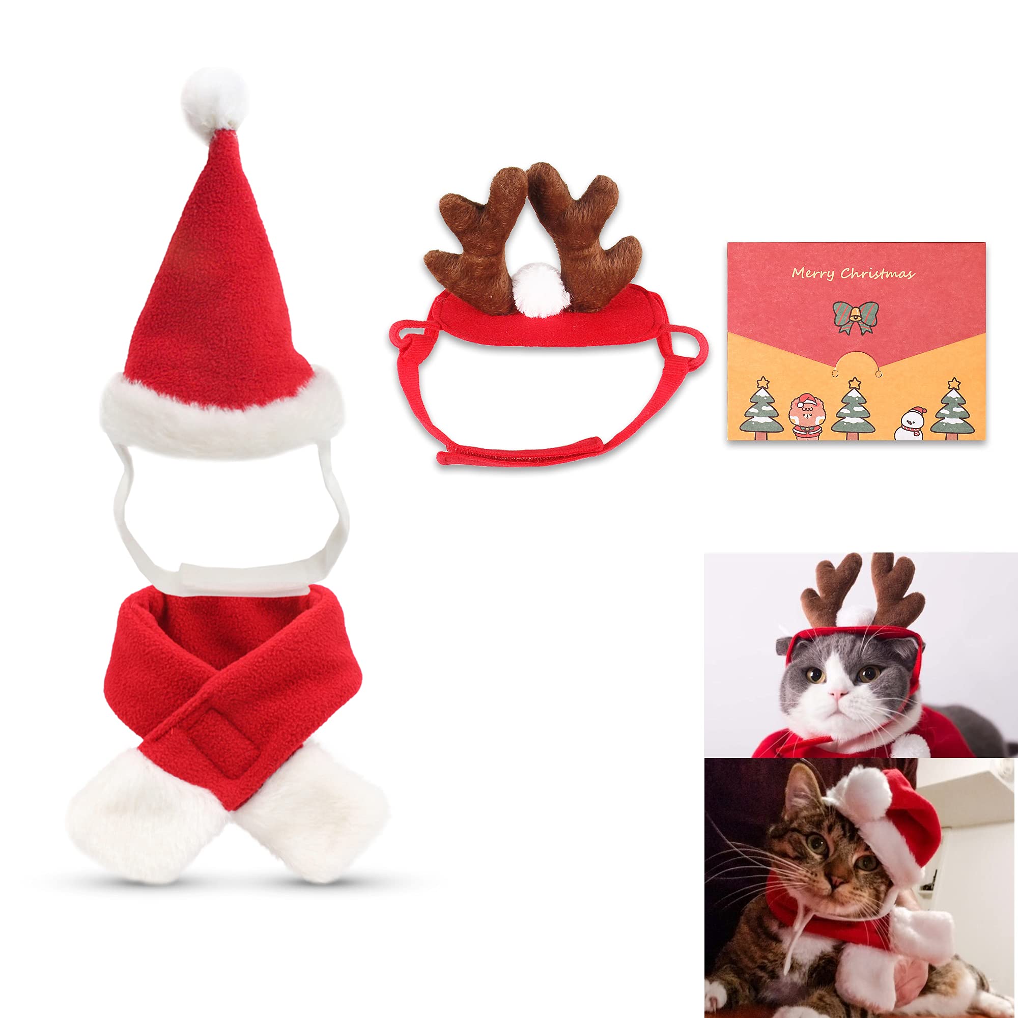 Chapeau de Noël pour chat : le cadeau idéal à glisser sous le sapin