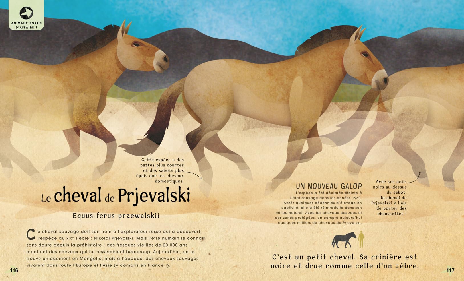 Incroyables animaux disparus ou menacés