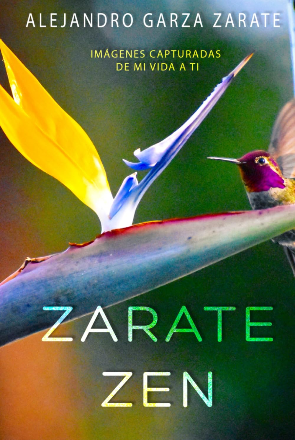 ZARATE ZEN livre de photographies artistiques d'une vie inspirante