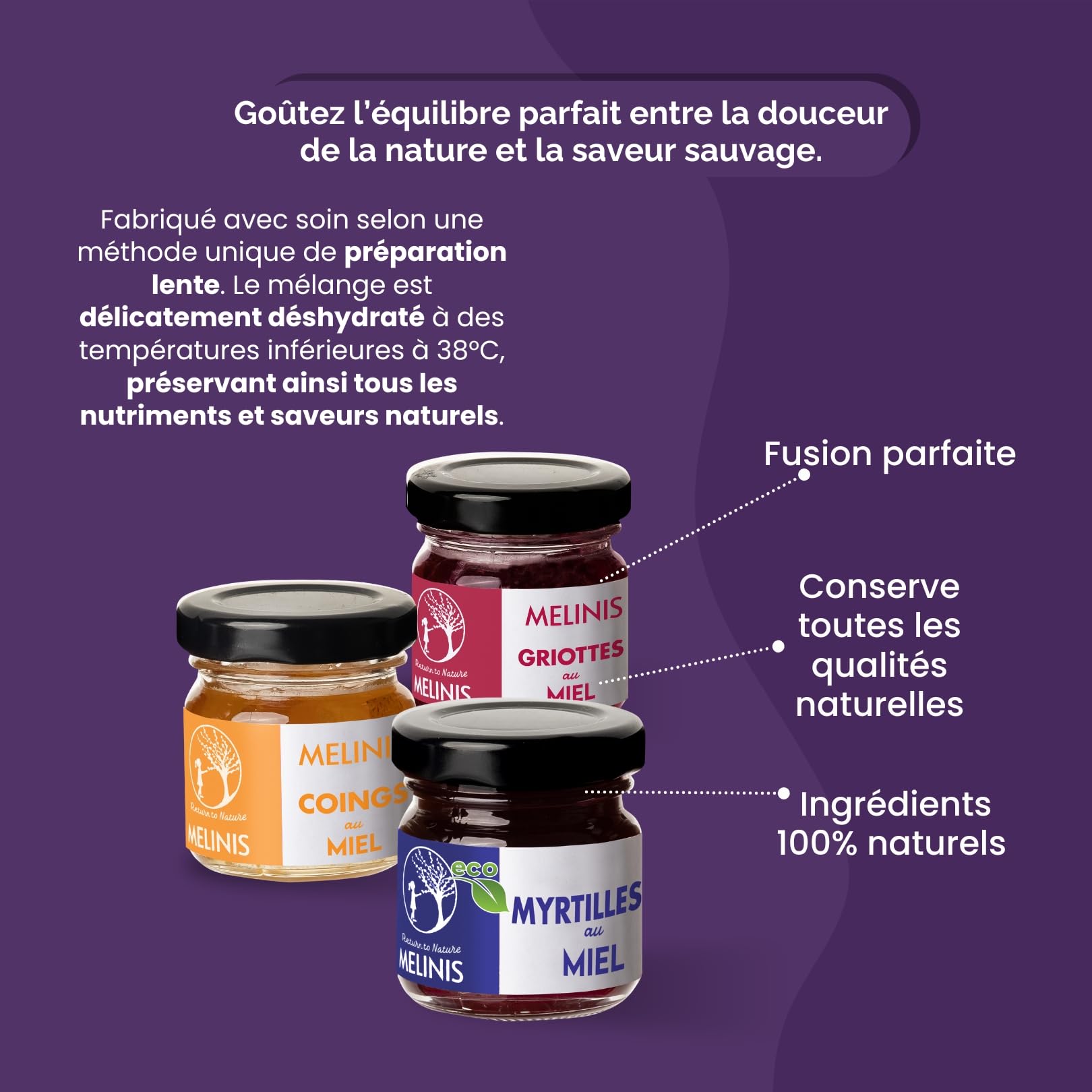 Coffret Dégustation 3 × 40 g – Miel Bio Tartinable aux Myrtilles, Coings Bereczki et Griottes – Sans Sucre Ajouté – Tartinables Naturels pour Petit-Déjeuner, Snacks et Cadeau Gourmet – Melinis