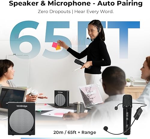 Miniatura 6 de WinBridge S91 Amplificador de voz y máquina de karaoke, sistema PA portátil de 30 W con 2 micrófonos inalámbricos, altavoz Bluetooth de sonido claro