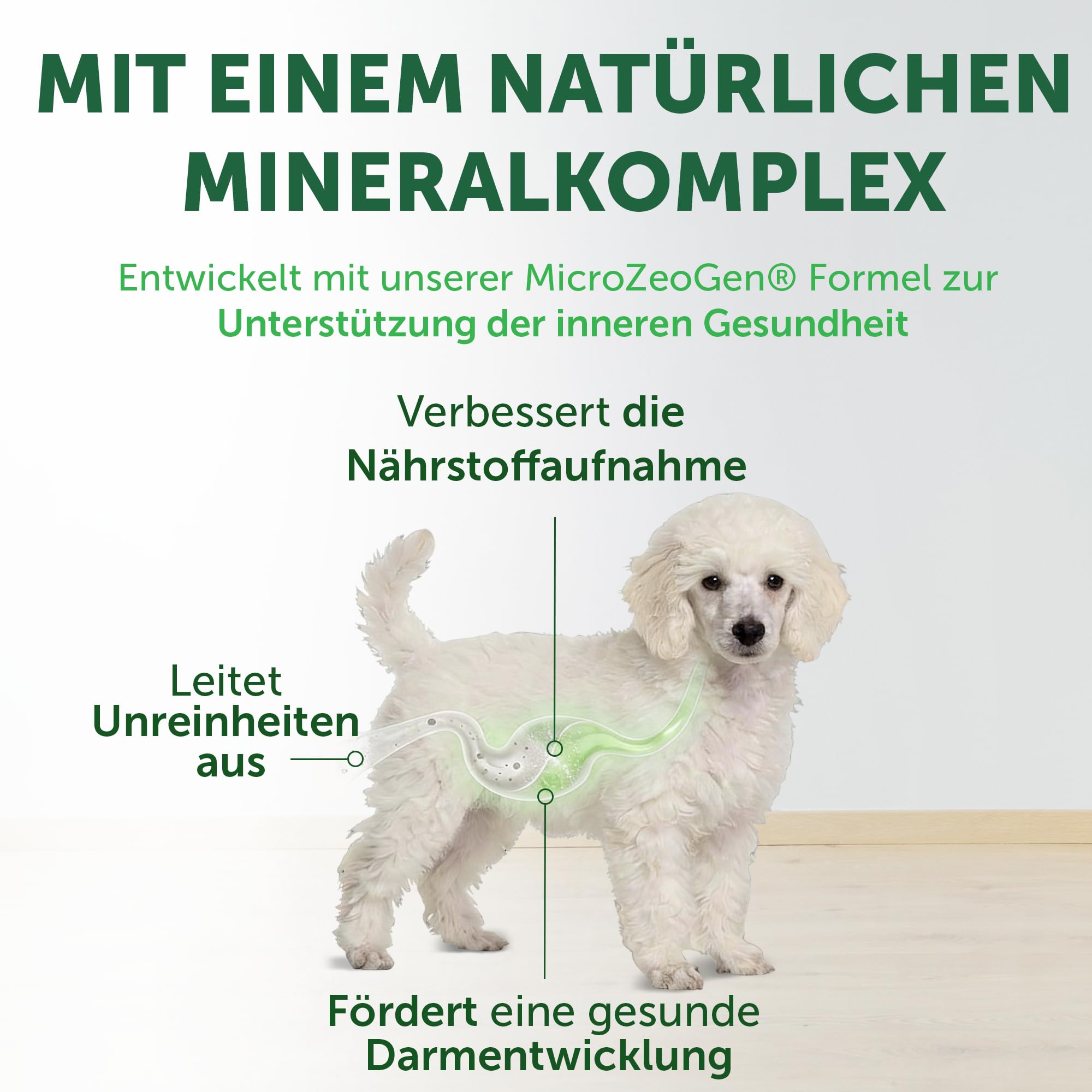 Nature's Protection Superior Care Hundefutter Trocken Getreidefrei - Hypoallergenes Welpenfutter mit Lachs für Weiße Hunde Aller Rassen, Trockenfutter für Welpen, 10kg