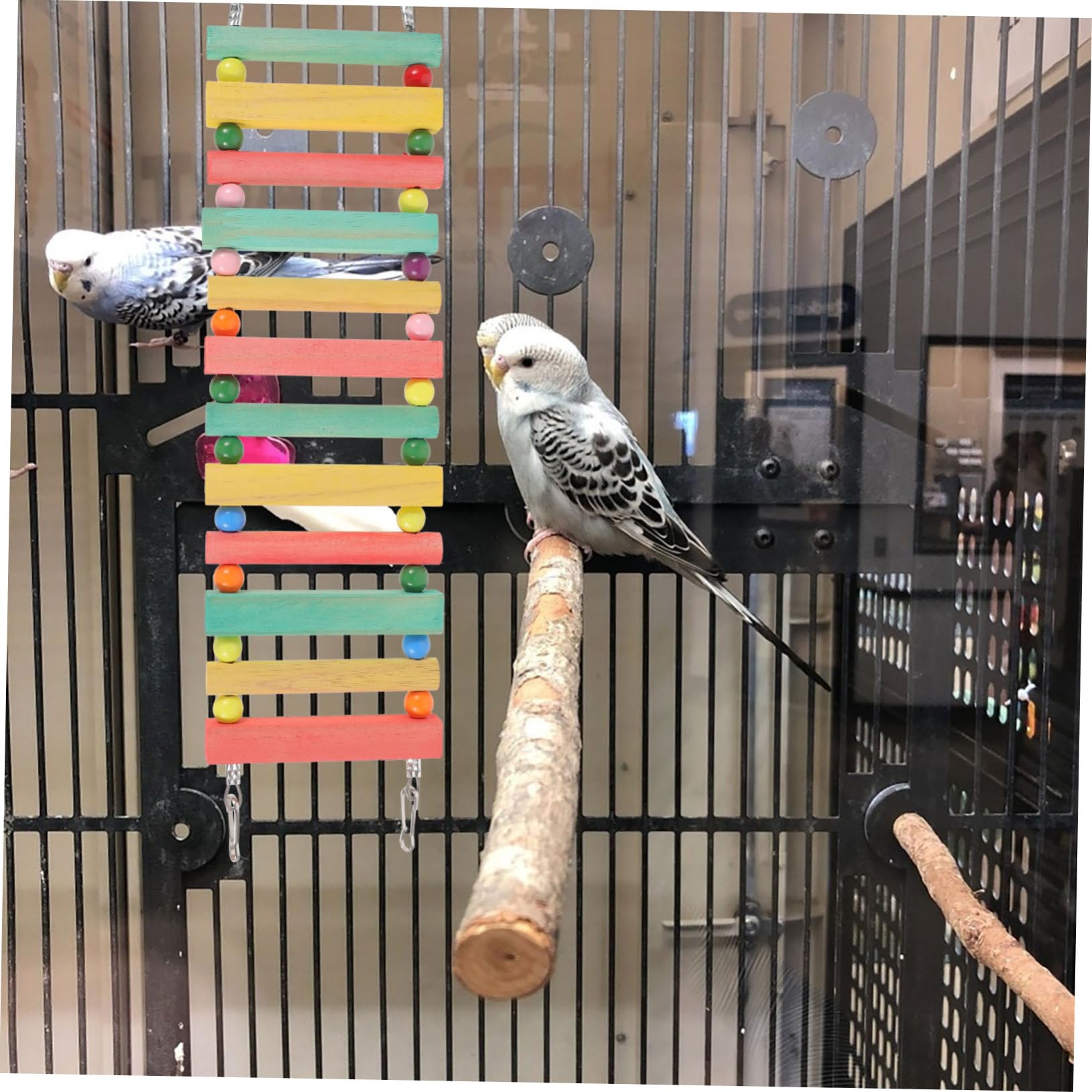 Toys For Birds Bird Accessories Parrot Toy Climbing Ladder, Swing, And ...