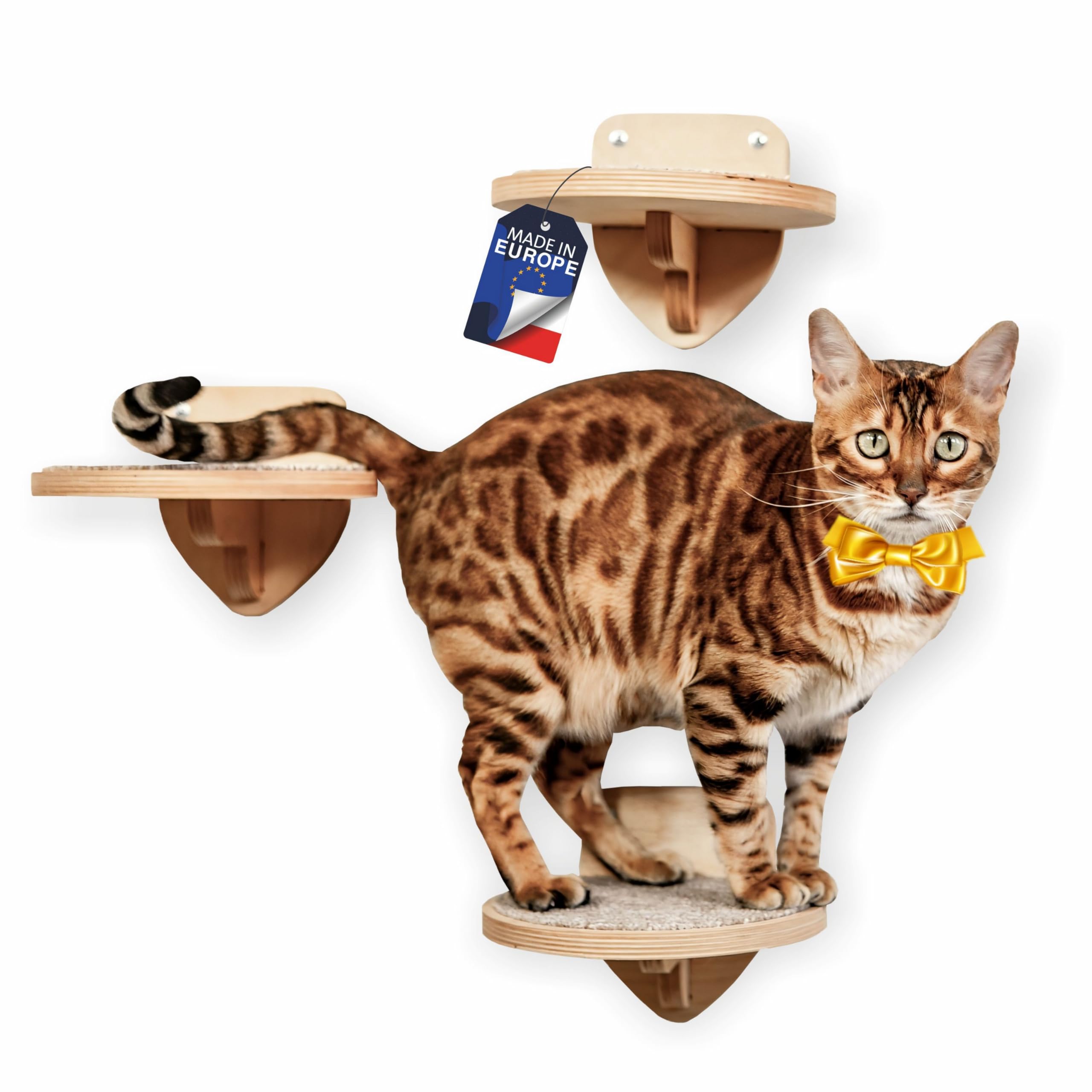 RshPets® Climbing Wall Cats - Set of 3 Cat Stairs - Cat Ladder - Cat Wall Elements - Round Steps for Cats - Diameter 20 cm (Light Colour) (B0CN1PS8NV) Amazon Price History, Amazon Price Tracker
