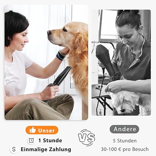TRIGRAND Pulseur Chien Professionnel Souffleur Chien Silencieux 3000W réglable - Souffleur de Soins pour Chien avec 4 Buses différentes et Tuyau élastique,Noir Profond - 5