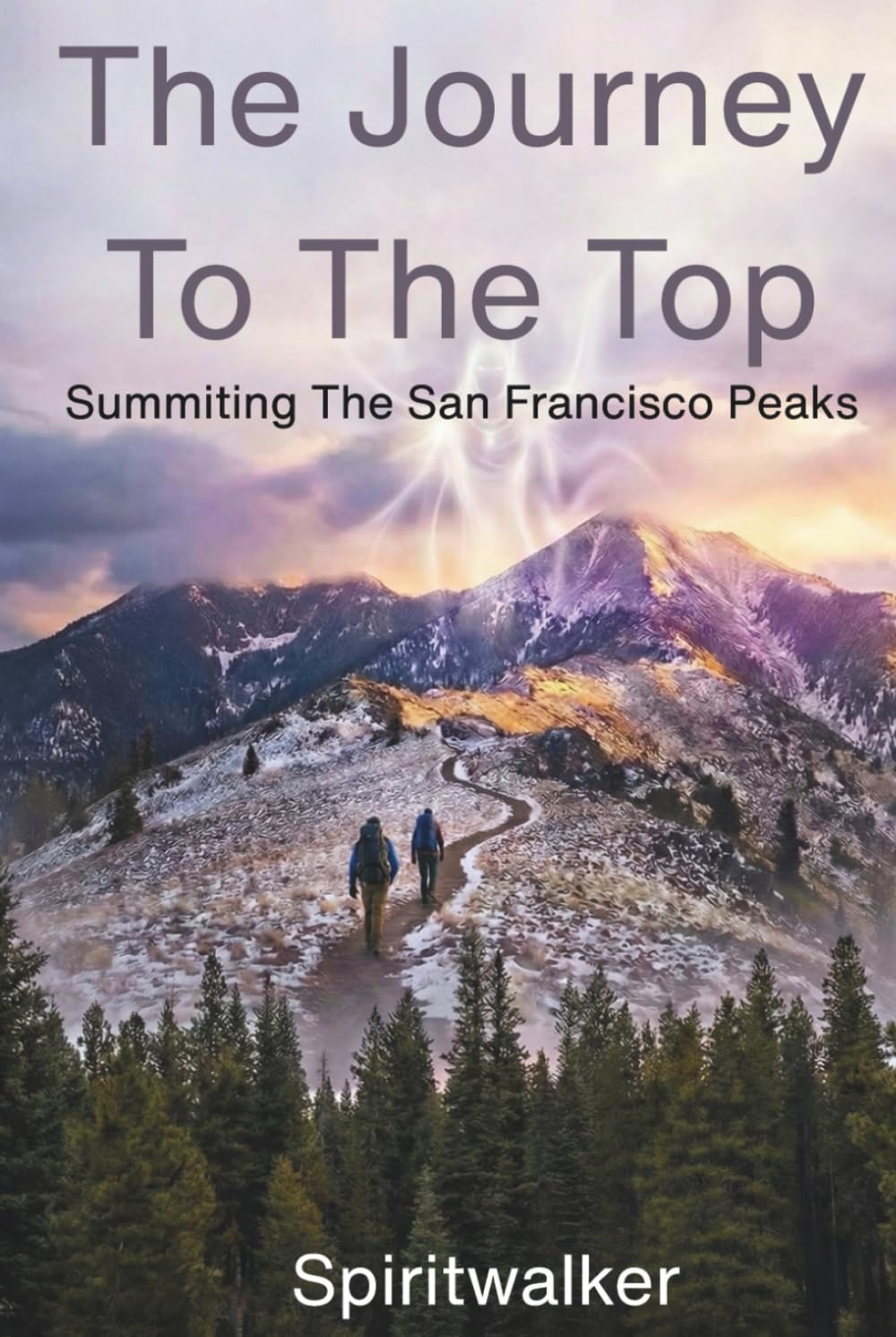 The Journey To The Top: Summiting The San Francisco Peaks