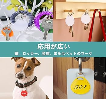 Amazon.co.jp: [SensaBliss] ネームタグ キータグ 書き込み可能 丸型