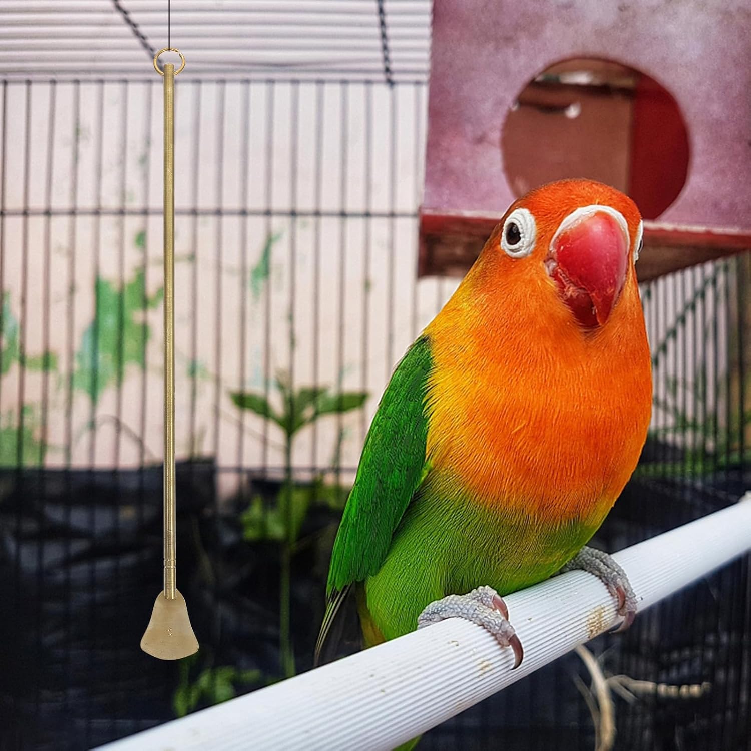 Bird Poop Cleaner Long Handle Tool for Birdcage Cleaning Made of Sturdy Brass with Golden Finish, Easy to Use Poop Scraper for Small Animal Cages and Birdhouses image 5