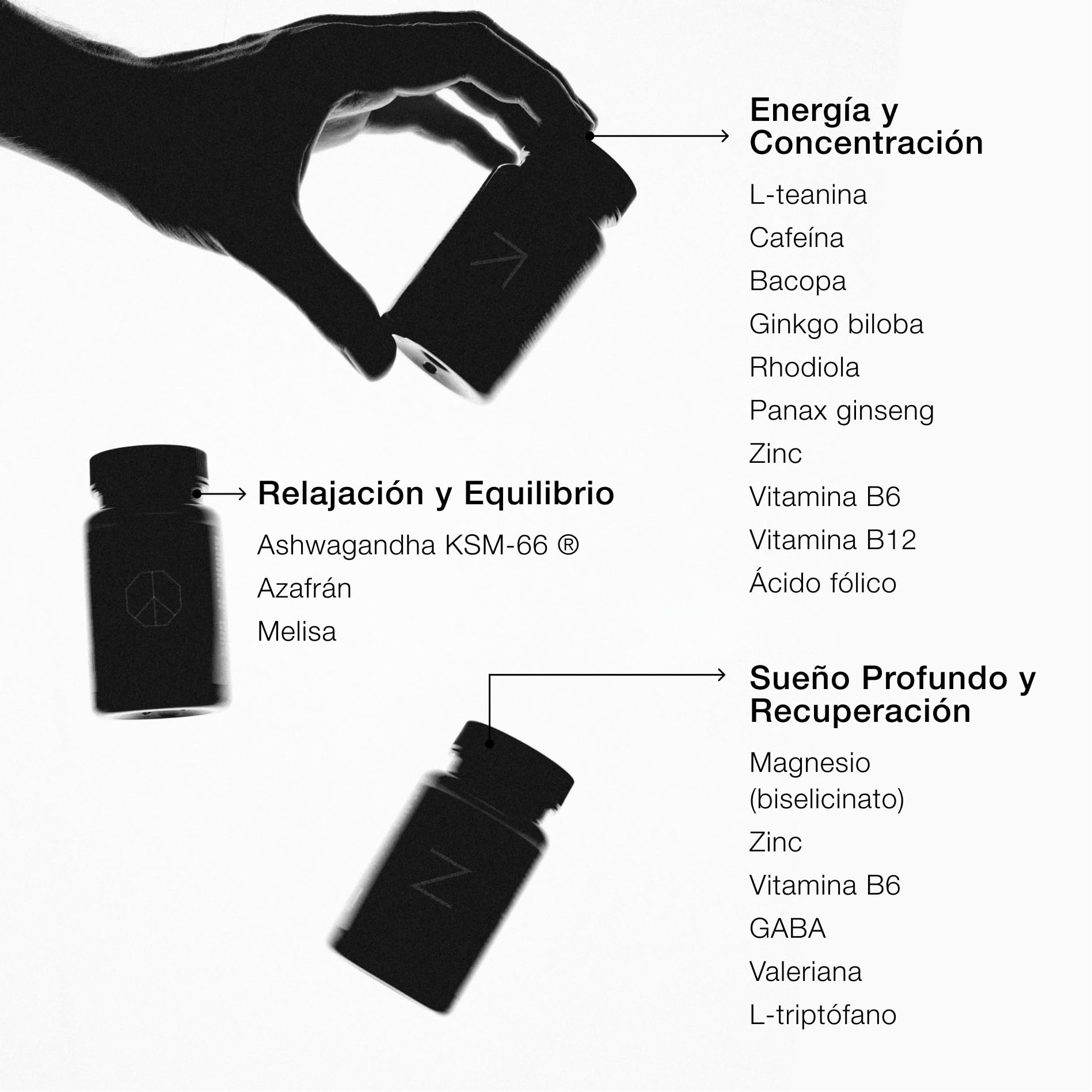 MODO ZZEN - Pack de 3 | Nootrópico para la Memoria, Energía y Concentración (FOCUS) + Ashwagandha KSM-66 para el Estrés (CALM) + Magnesio Bisglicinato y L-Triptófano para el Sueño Profundo (SLEEP)