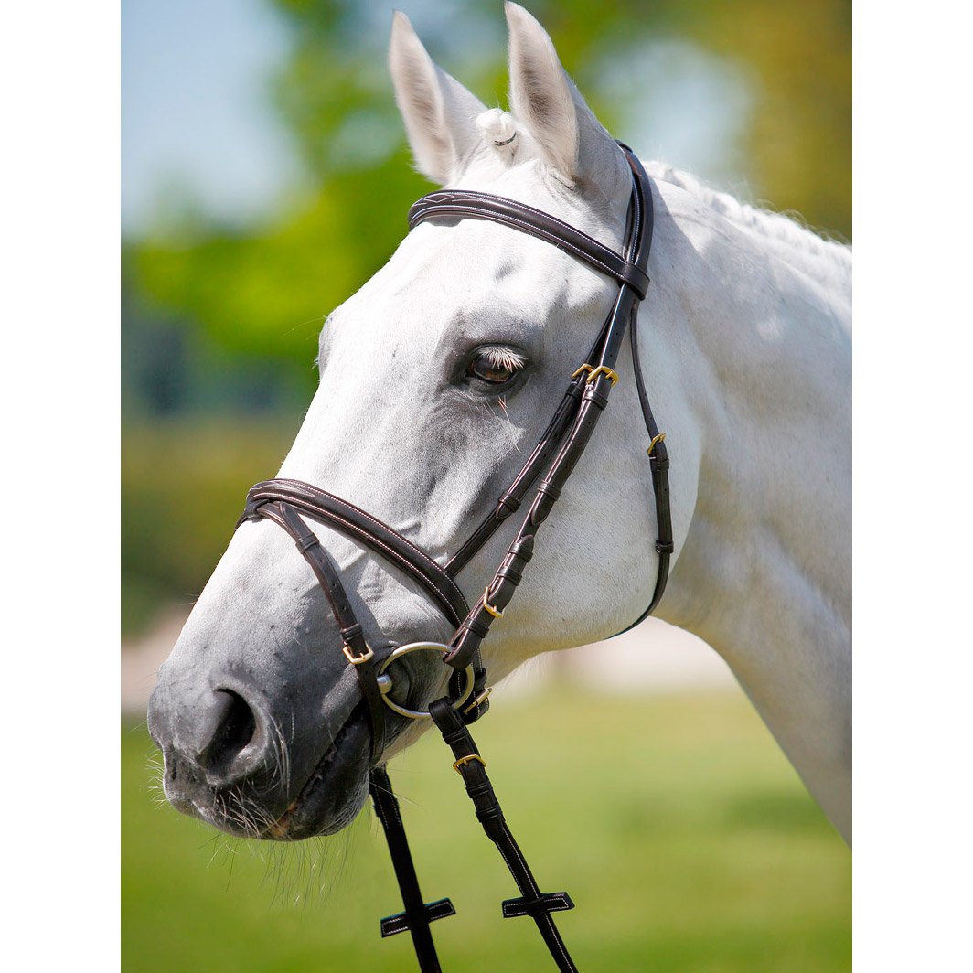 Testiera Tattini Eco Friendly-PONY-nero