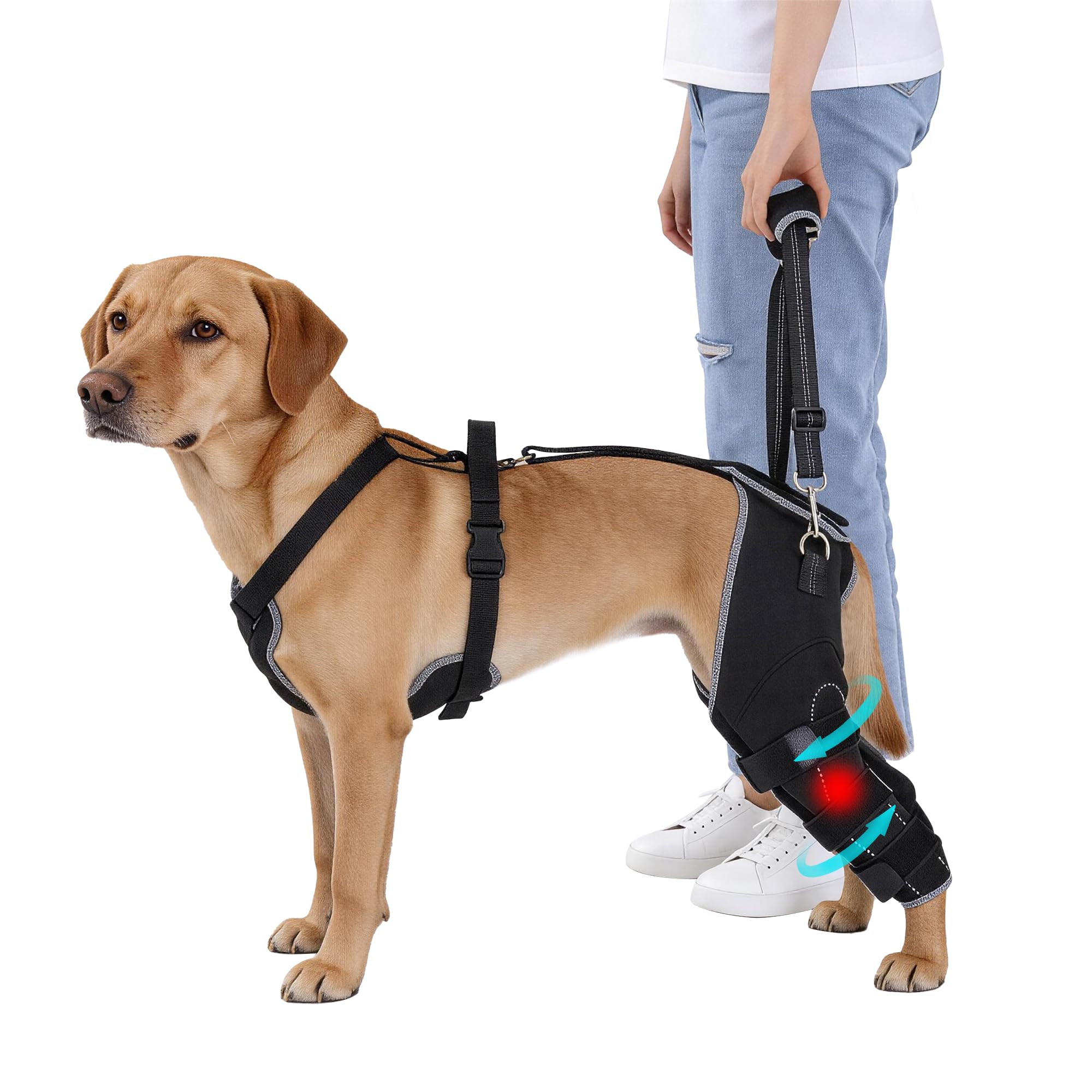 BALAPET Dog Rear Leg Brace for ACL/CCL Injury