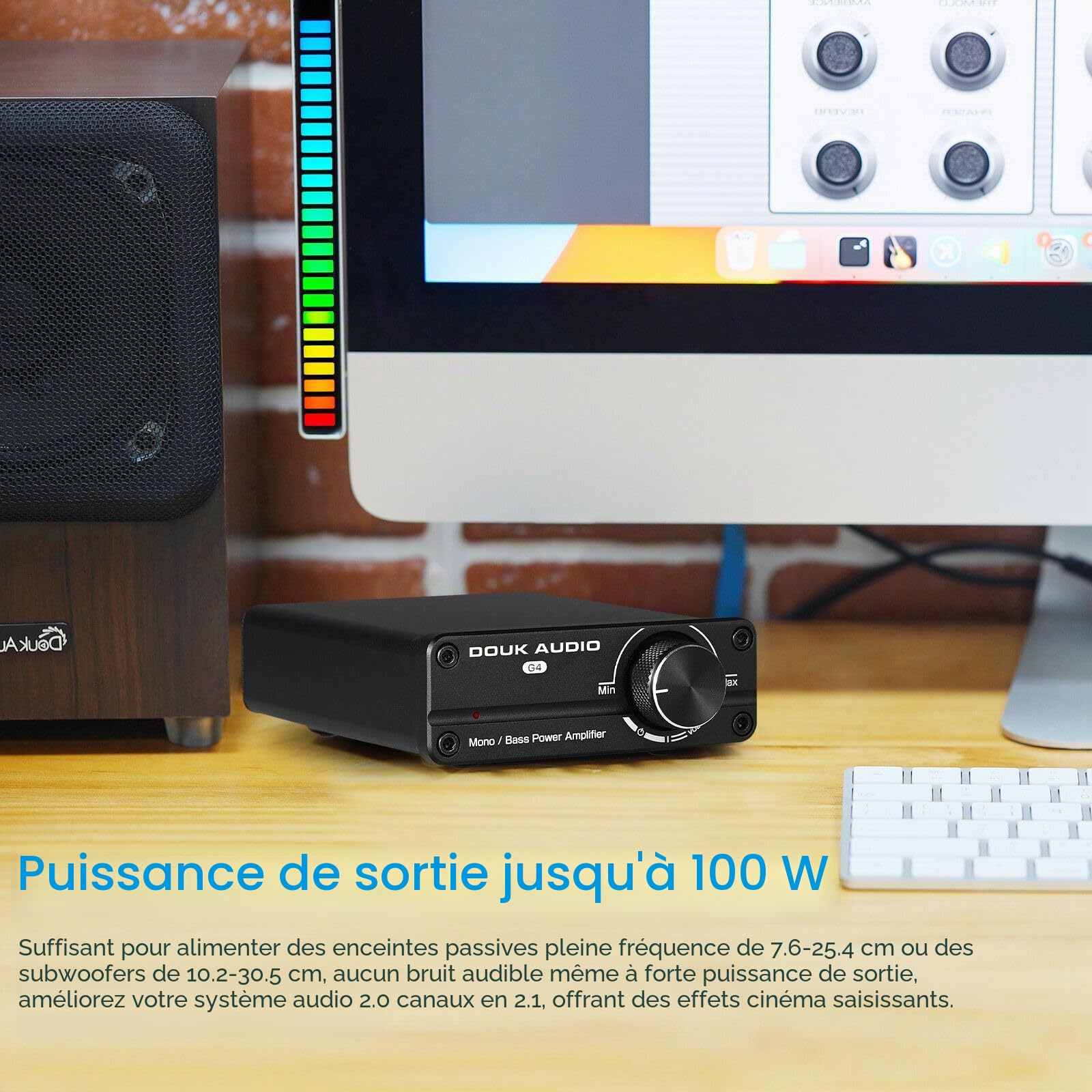 Mini caisson de basse/Full Fréquence mono-canal Amplificateur de puissance Mono Power Amplifier Subwoofer Amplificateur
