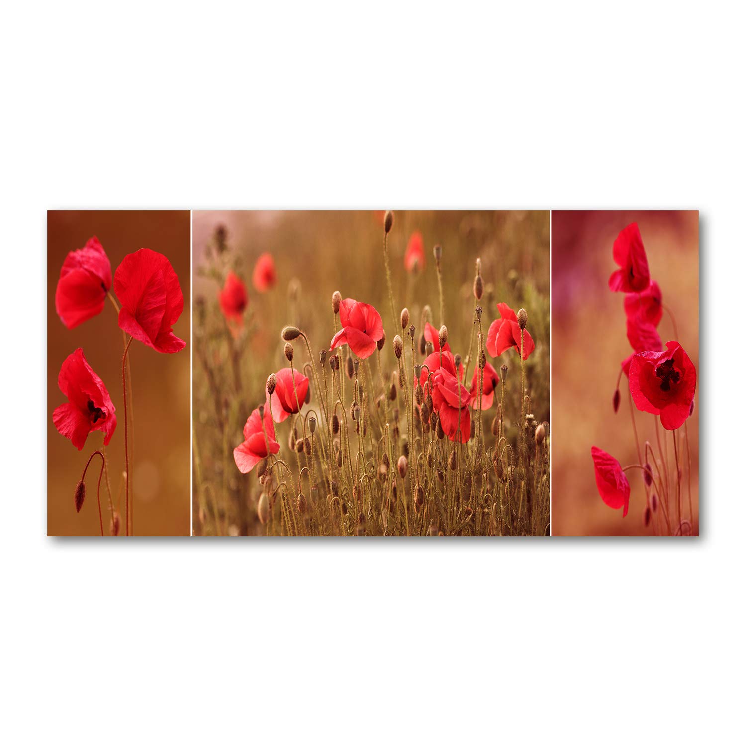 Image panoramique fleurs et plantes rouge tableau triptyque salon