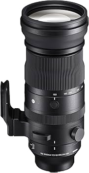Amazon.com: Sigma 150-600mm F5/-6.3 DG DN for L Mount : Sports