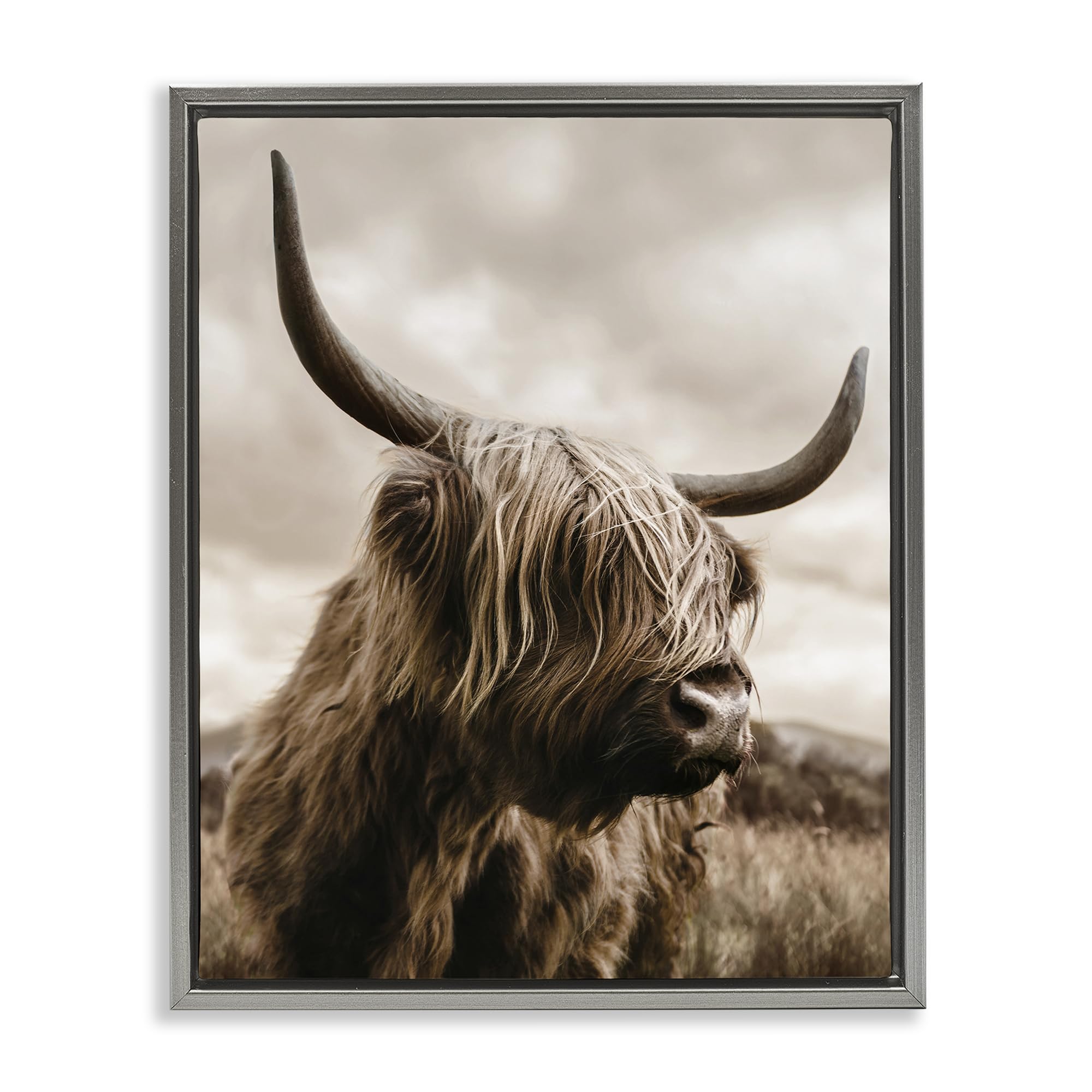 Stupell Industries 'Highland Cow on Windswept Moor', Floating Frame Canvas Art, Gray, 17 x 21 Inches, Easy to Hang and Sturdy, Made in USA, by CAD Designs