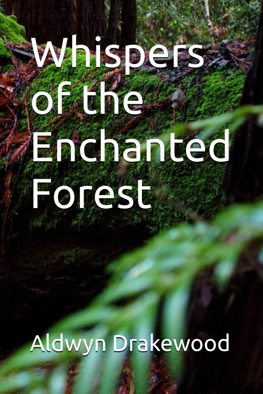 Whispers of the Enchanted Forest