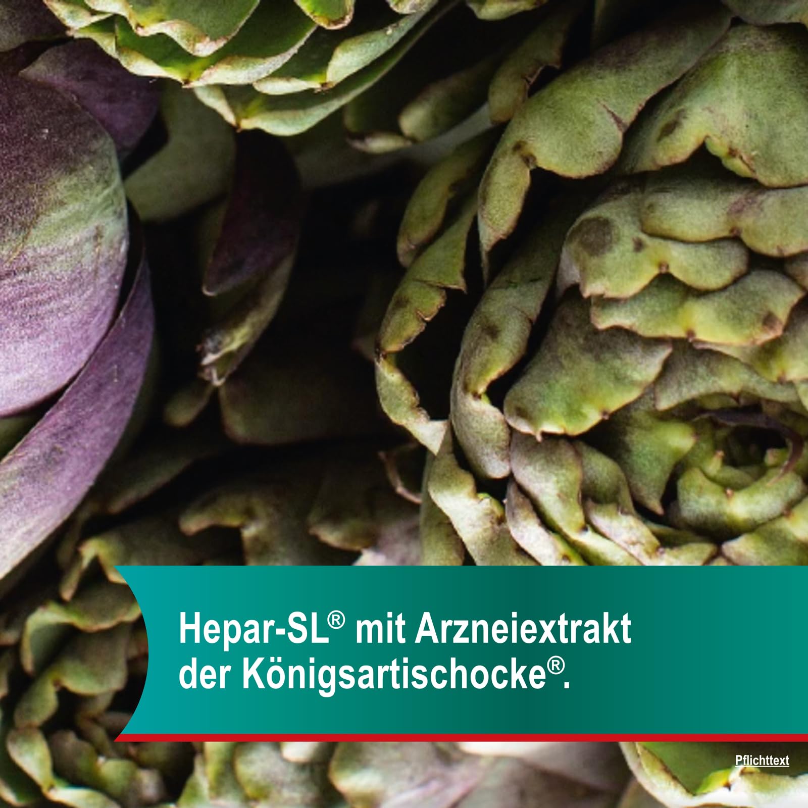 Hepar-SL 320 mg bei Verdauungsstörungen | 200 Hartkapseln | befreit von Völlegefühl, Blähungen, krampfartigen Bauchschmerzen & Sodbrennen | mit Spezialextrakt der Königsartischocke | ab 12 Jahren