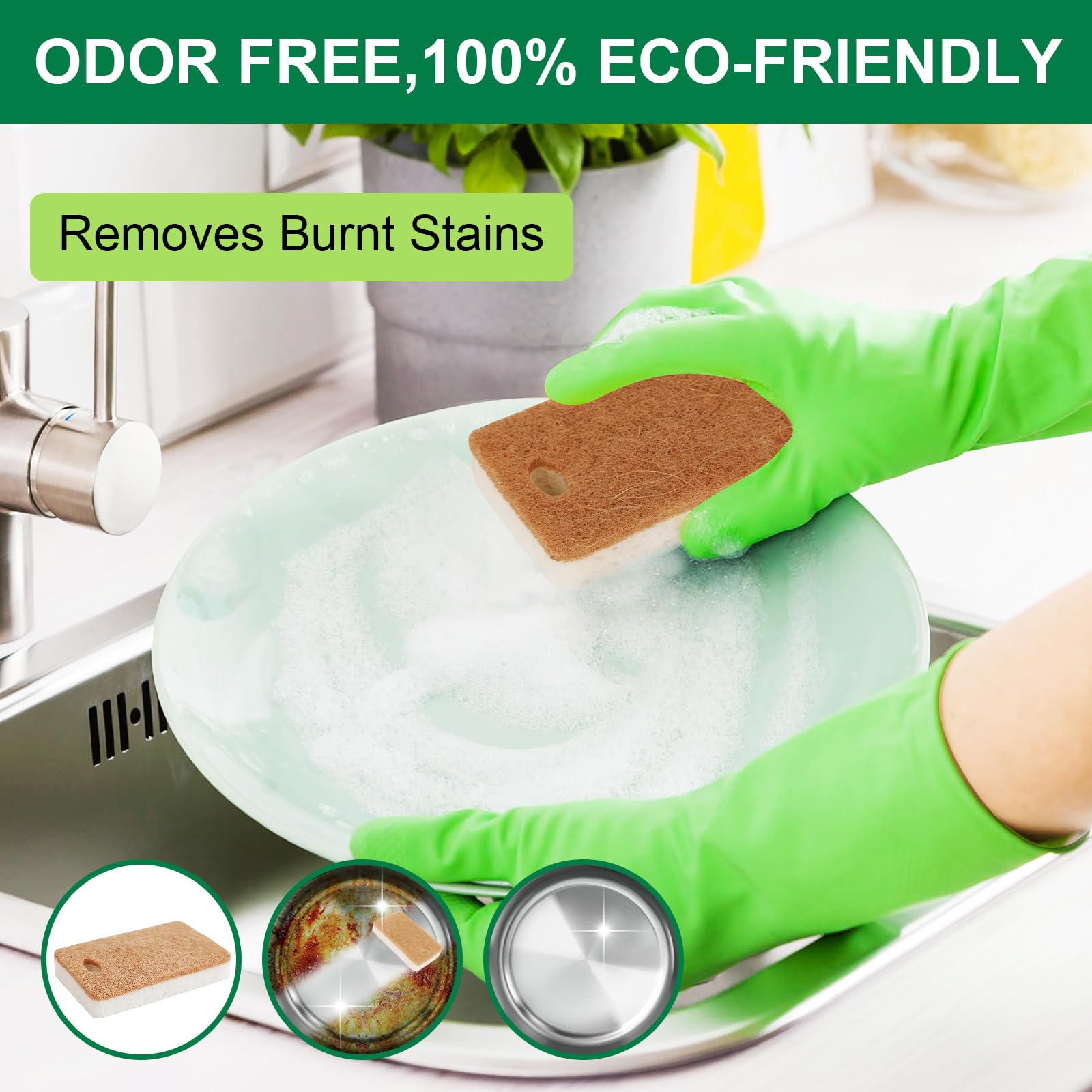 Spugne Biodegradabili Per Cucina - 12 Pezzi In Fibra Di Cocco E Cellulosa