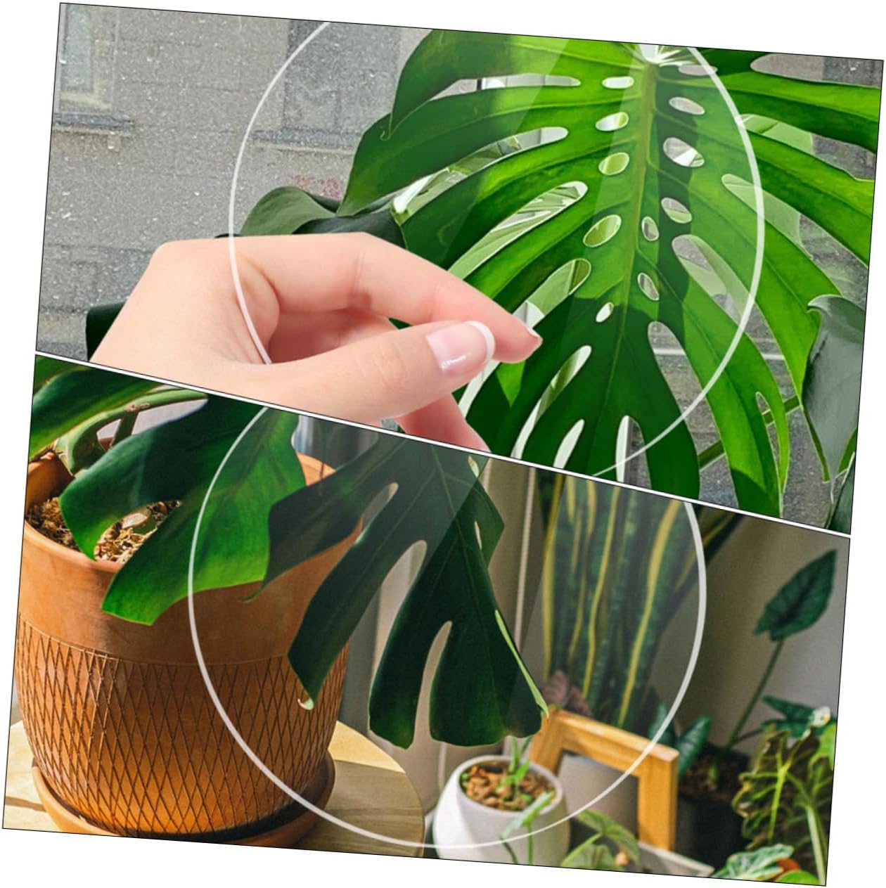Beatifufu 20pcs Clear Acrylic Discs Thick Transparent Round Blanks Smooth Edges for DIY Crafts Birthday Valentine Travel Anniversary Decorations