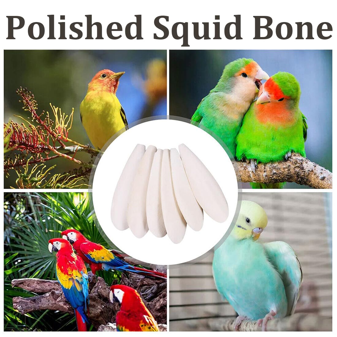 WeddHuis 6 sztuk Premium kości mątwy dla żółwi, ptaków, gadów, brodatych smoków i ślimaków, naturalnego źródła wapnia i minerałów (10-12 cm)