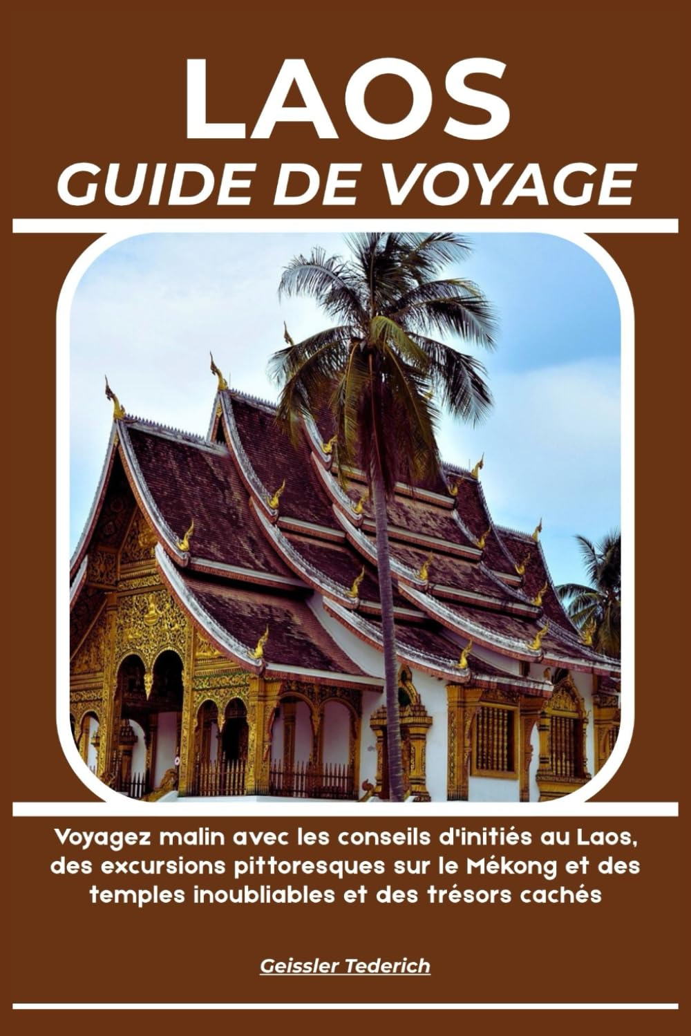 LAOS GUIDE DE VOYAGE: Voyagez malin avec les conseils d'initiés au Laos, des excursions pittoresques sur le Mékong et des temples inoubliables et des trésors cachés