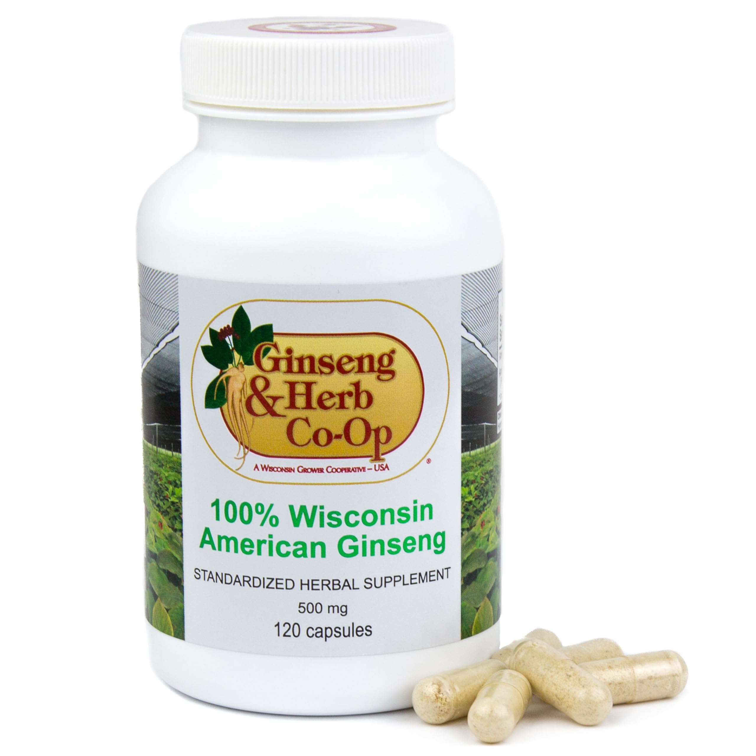 100% Pure Wisconsin American Ginseng Capsules - 500mg. Authentic Panax Quinquefolius. Potent Ground Ginseng Root - No Fillers, Binders or Other Additives.