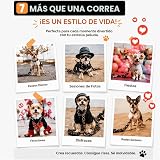 Ver la foto 8