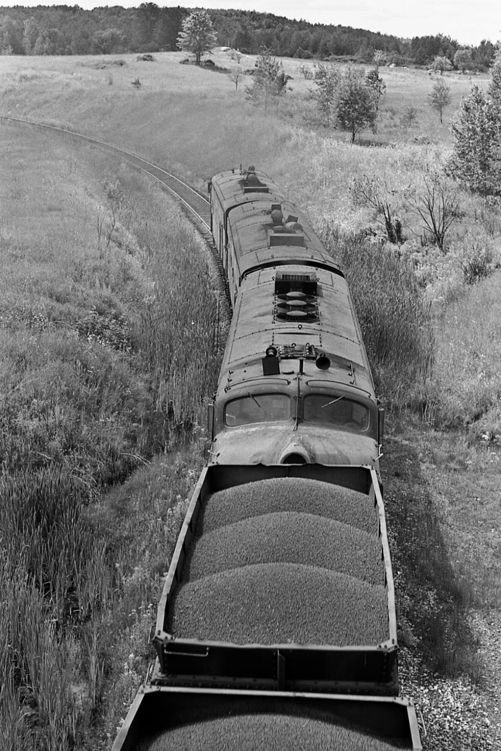 First Ten Days: Book 6 of The Adams/Williams Railroad Novels