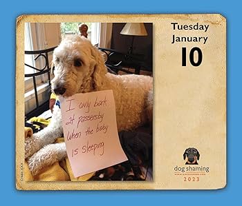 Dog Shaming 2023 Day-to-Day Calendar: Lemire, Pascale, dogshaming.com: 9781524872809: Amazon.com: Books Dog Shaming 2023 Day-to-Day Calendar: Lemire, Pascale, dogshaming.com: 9781524872809: Amazon.com: Books