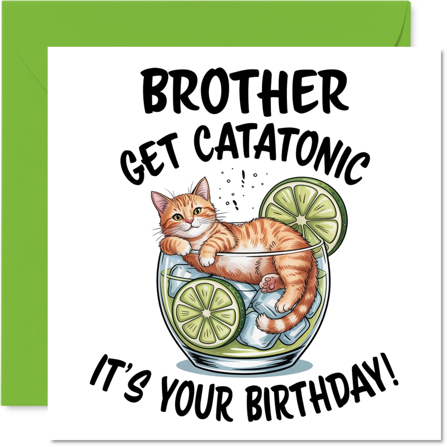 Brother Birthday Card - Catatonic - Happy Birthday Card for Brother from Sister Sibling, 145mm Cute Animal Design Bday Greeting Cards