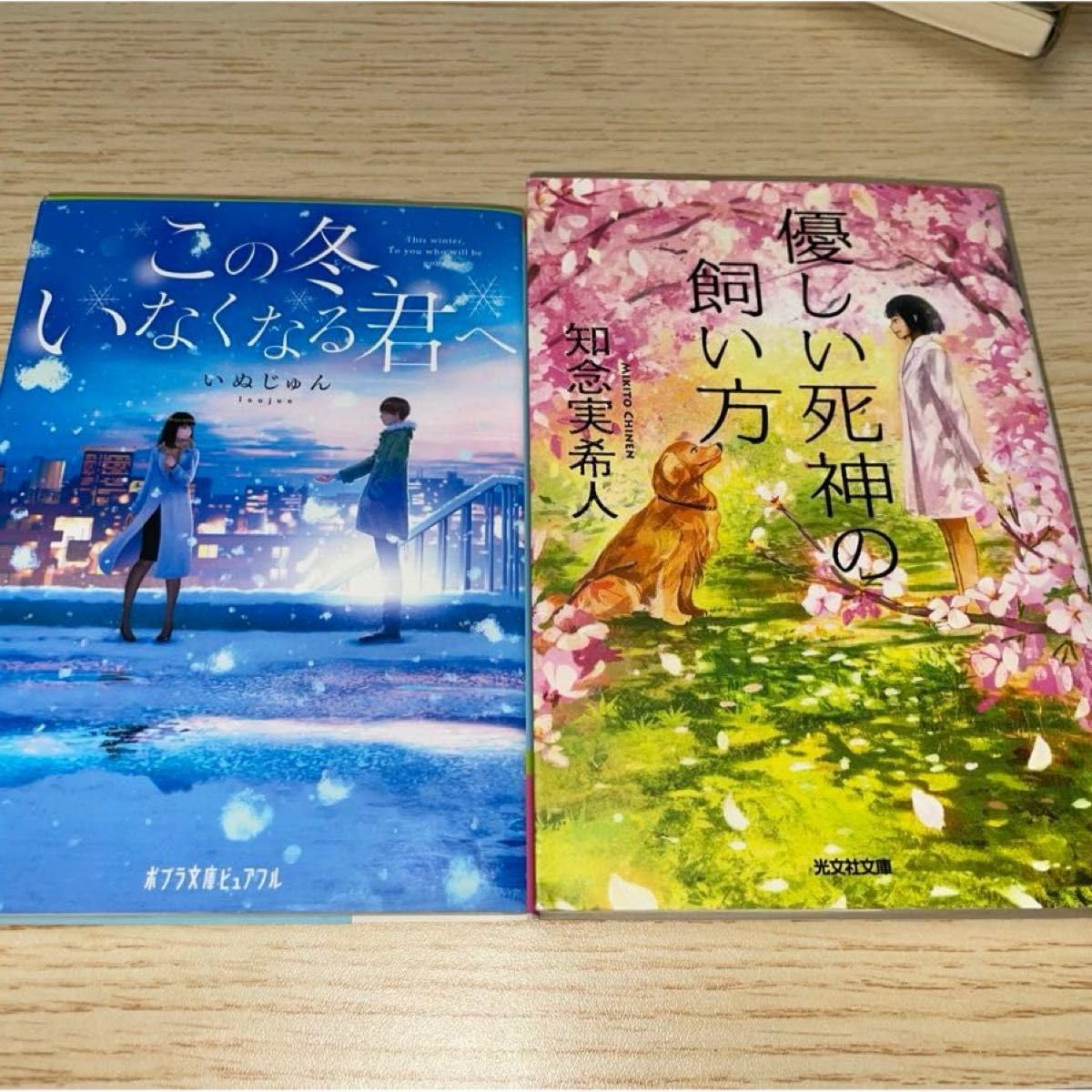 Amazon.co.jp: 感動小説2冊セット 優しい死神の飼い方 知念実希人 著