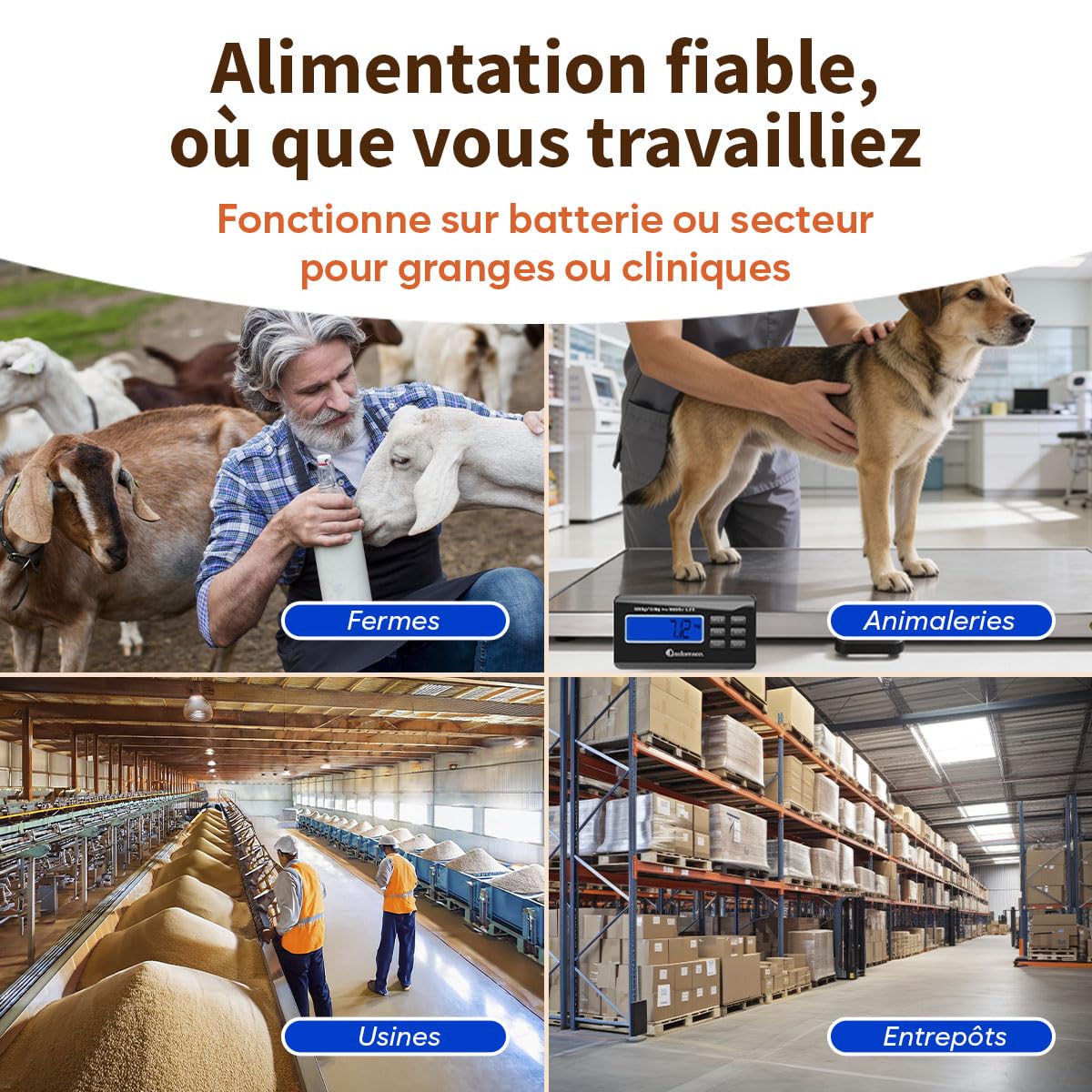 Adamson Balance Animaux 500 kg – Balance Professionnelle Électronique pour Chiens, Chats et Élevage – avec Fonctions Tare, Hold, PCS idéale aussi pour Colis – Alimentation Secteur ou Piles