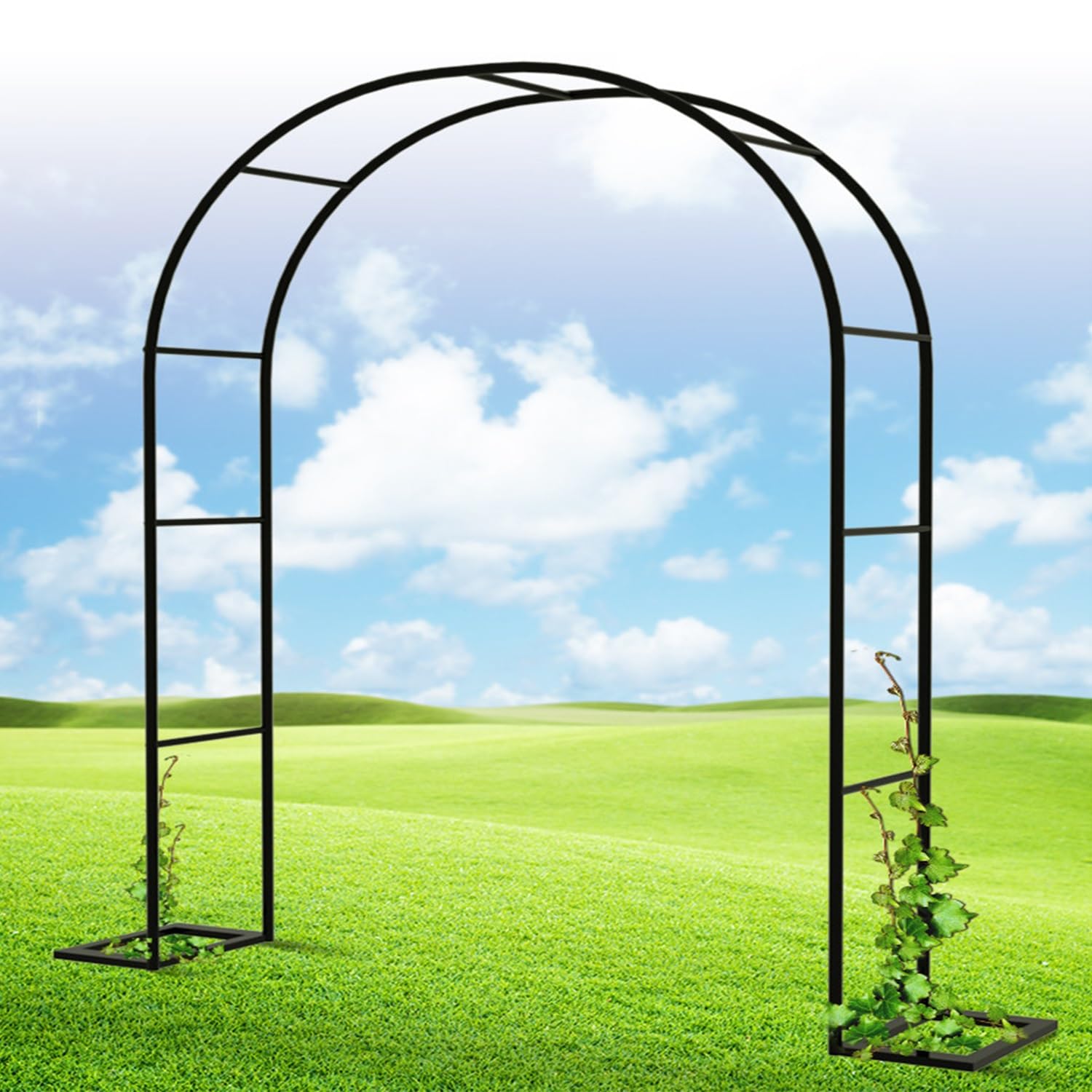Arche de jardin extérieure en treillis métallique noir durable et robuste