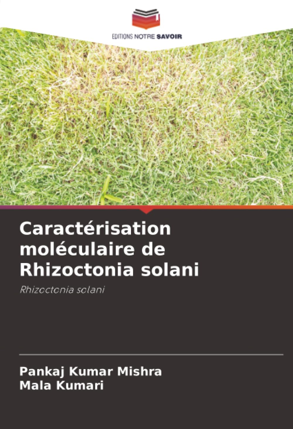 Buy Caractérisation moléculaire de Rhizoctonia solani Book Online at Low  Prices in India | Caractérisation moléculaire de Rhizoctonia solani Reviews  & ...