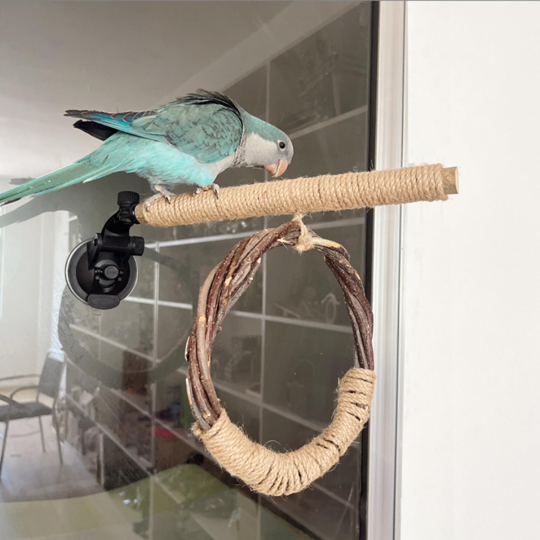 Bird Perches With Suction Cup, Bird Branch Perch Training Wooden, Bird Stand Toy - Image 4