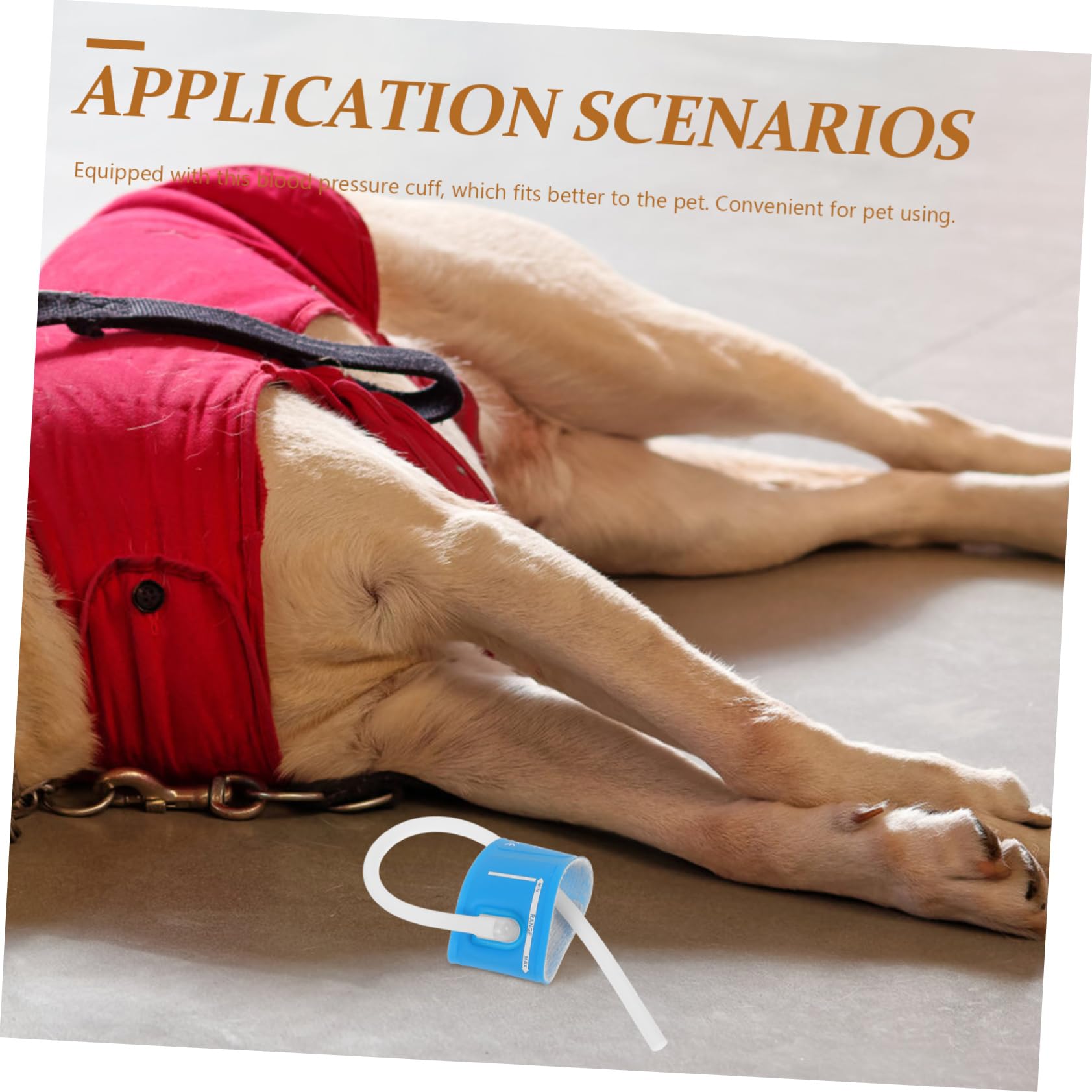 POPETPOP Brassard De Tensiomètre Réutilisable pour Animaux De Compagnie Tensiomètre Vétérinaire Adapté Aux Chiens Et Chats Mesure Précise De La Pression Artérielle Outil Domestique Fiable