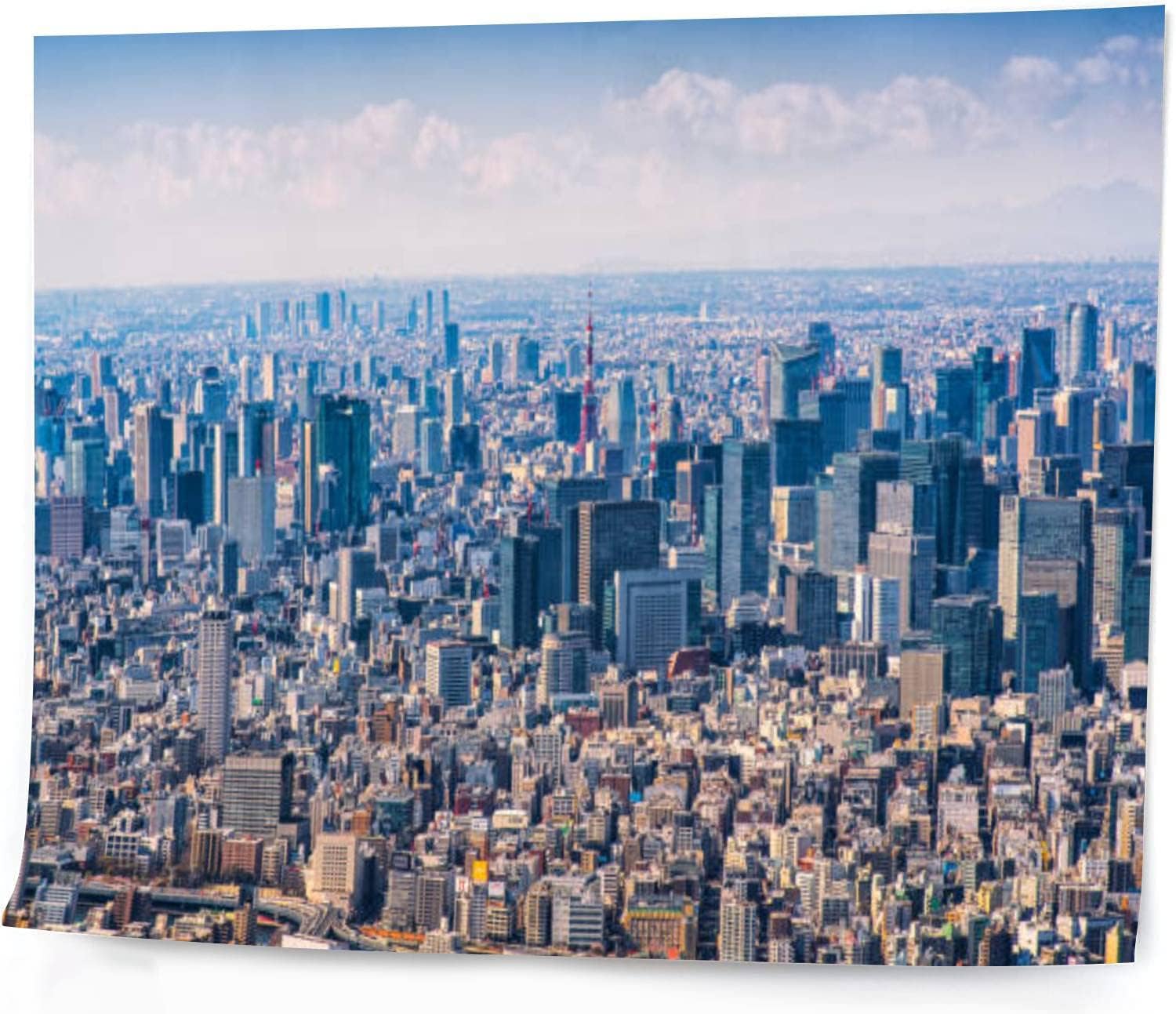 DQWIJAKX91 DIY Digital Painting Mt jufi Tokyo Skyline Japan Paint by Numbers Kits Drawing on Canvas Without Frame Adults Beginner & Kids Wall Art Home Decor 16''x21''