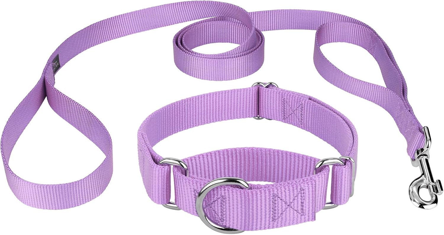 Country Brook Petz - Lavender Martingale Heavyduty Nylon Dog Collar and Double Handle Leash (1 Inch, Extra Large)