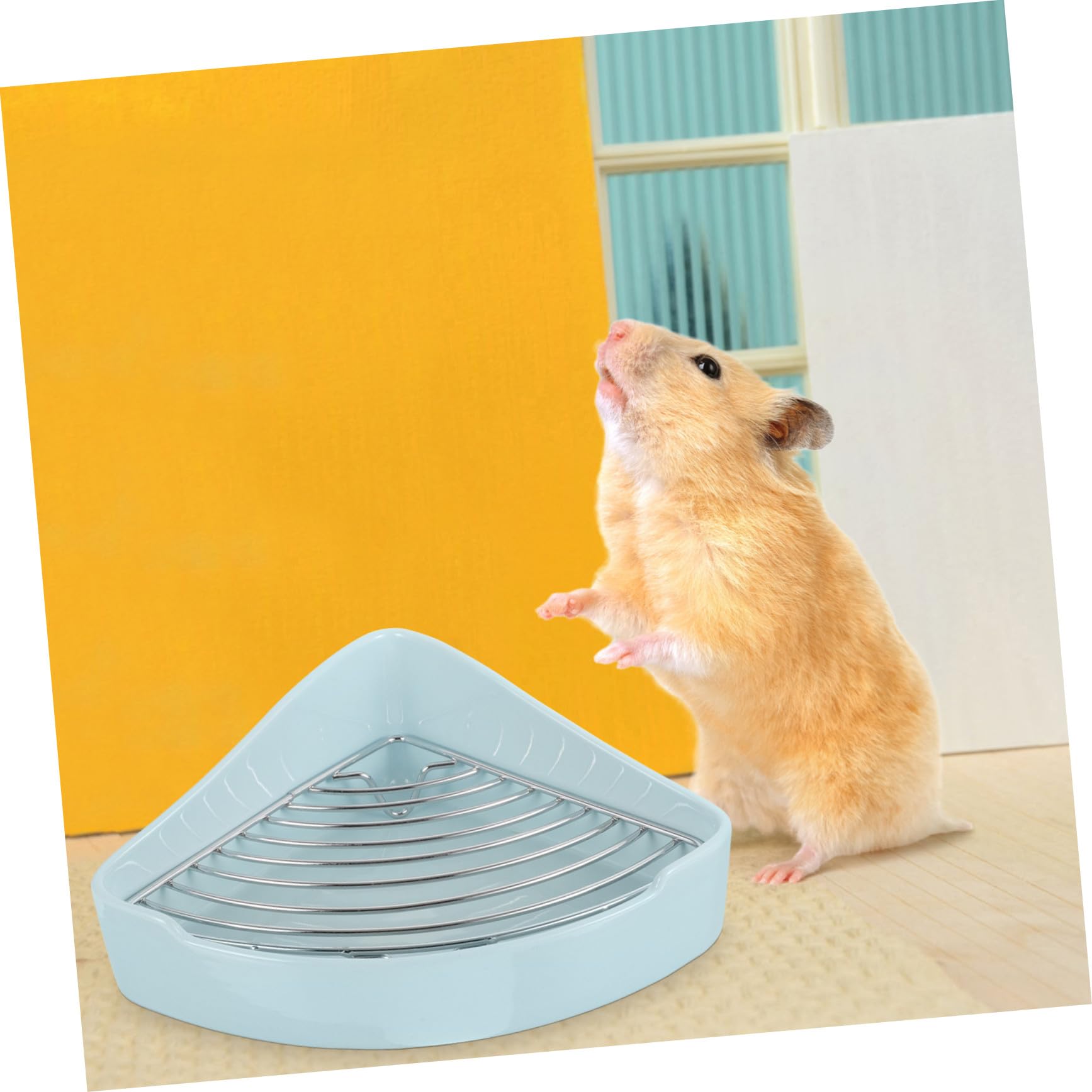 Lettiera Angolare in Materiale Ceramico per Criceti e Cavia di Piccole Dimensioni, Facile da Pulire e Installare, Adatta per Uffici o Bagni
