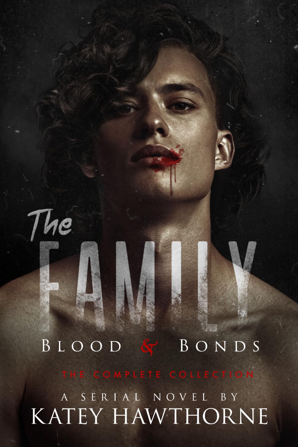 The Family: Blood and Bonds The Complete Collection: An MM Vampire Romance