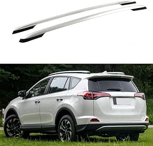 PANNEAU PORTIÈRES ARRIÈRE Droit Porte Carton Compatible pour Toyota Rav 4 II ( EUR 61,01