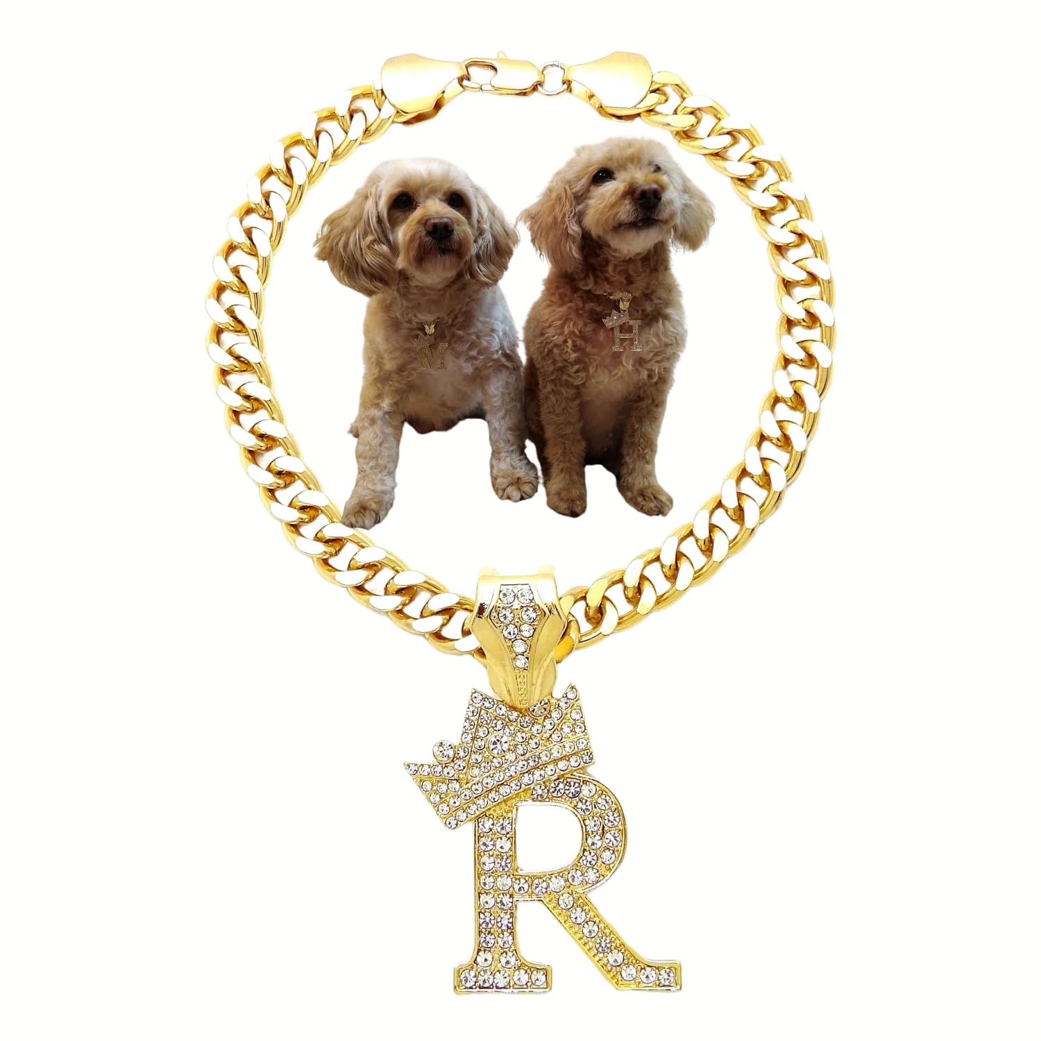 Initial Letter Cuban Chain Dog Chain Pet Chain Pet, Cat, Puppy Necklace (R, 12")